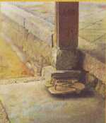 �m���̐�B����