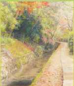 �t���̓N�w�̓�