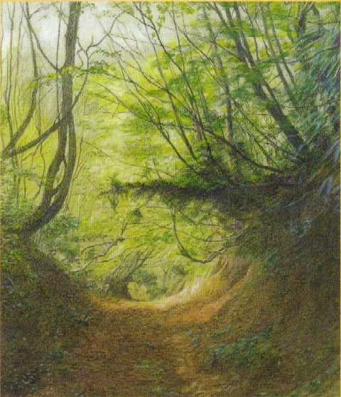 ��ӑ���̓��@���s�{�O�㔼��