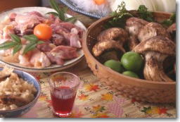 �H���胁�j���[�i9���A10���j�̏����n�{�����₫